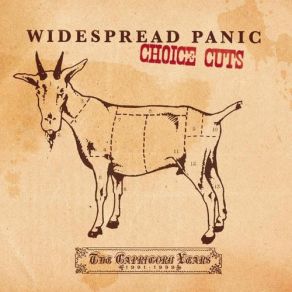 Download track Blue Indian Widespread Panic