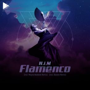 Download track Flamenco (Original Mix) N. I. M.