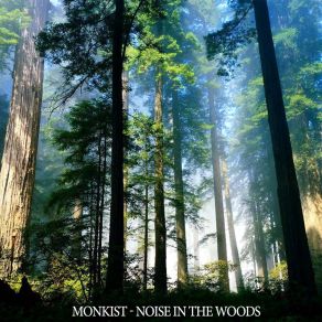 Download track Noise In The Woods (Original Mix) MonKist