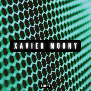 Download track Leave Me Like This Xavier Moony