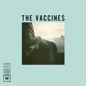 Download track Tiger Blood The Vaccines