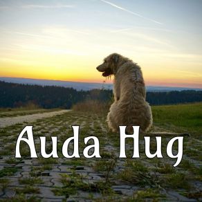 Download track Partnerquipo Auda Hug