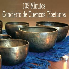 Download track La Relajación Y La Meditación Concierto De Cuencos Tibetanos