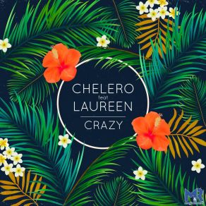 Download track Crazy (Kevin Rolland Remix) Chelero