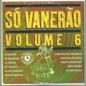 Download track Vanerão Da Saudade Chão Sulino