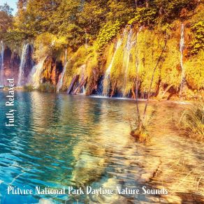 Download track Plitvice National Park Daytime Nature Sounds, Pt. 13 Steve Brassel