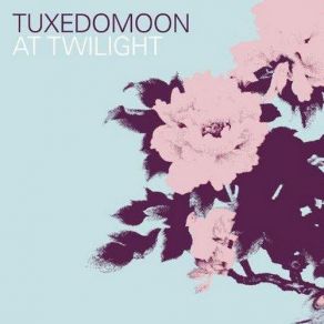 Download track Shelved Dreams Tuxedomoon