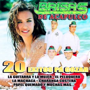 Download track La Equivocada Brisas De Acapulco