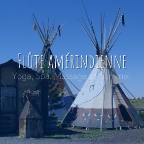 Download track Flûte Amérindienne - Yoga, Spa, Massage Et Sommeil 20 Club De Détendre AmérindienSommeil 20