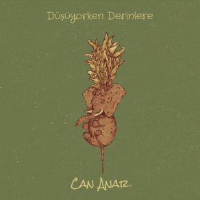 Download track Düşünmek Çok Zor Can Anar