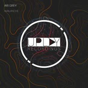 Download track Avalanche (Extended Mix) Ari Grey