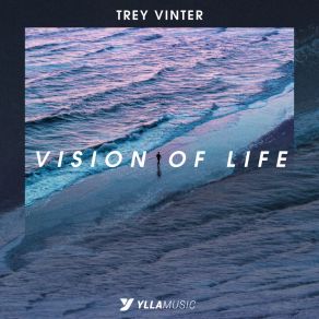 Download track Vision Of Life Trey Vinter