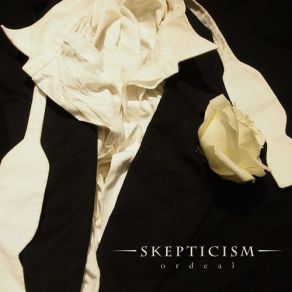 Download track You Skepticism