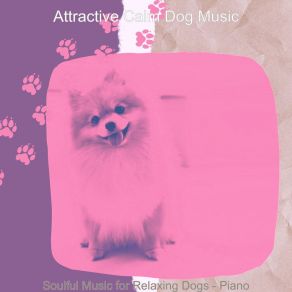 Download track Background For Doggy Training Attractive Calm Dog Music