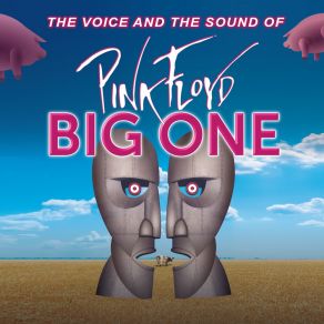 Download track Sheep Big One