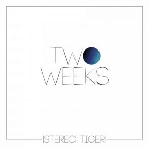 Download track Did You Ever Love Me Stereo Tiger