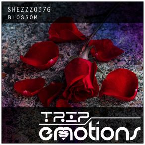 Download track Schmetterling ShezZzo376