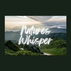 Download track Flying Through Nature Rain Worldwide Nature Studios