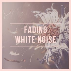 Download track Alleviating White Noise, Pt. 19 Ruído Branco