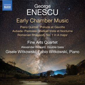 Download track Piano Quintet In D Major- II. Scherzo Vivace Gil Sharon, Fine Arts Quartet, Ralph Evans, Efim Boico, Niklas Schmidt, Gisele Witkowski