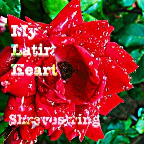 Download track My Latin Heart Shrevestring