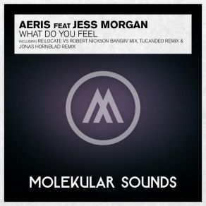 Download track What Do You Feel? (Paul Moelands & Robert Nickson Original Mix) Jess Morgan, Aeris