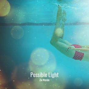 Download track Possible Light Ziv Moran