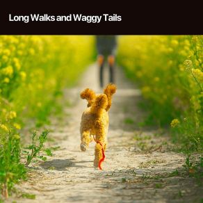 Download track Long Tails Dog Calming Music