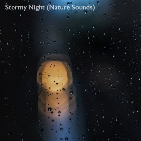 Download track Rainy Forest (Thunder) Stormy Night (Nature Sounds)Thunder