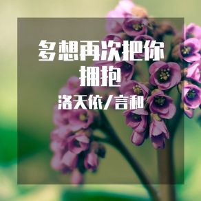 Download track 多想再次把你拥抱 言和