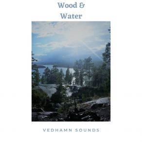 Download track Heavy Rain On A Birch Tree (Vedhamn Forest, Ingarö, Sweden 2023) Vedhamn Sounds