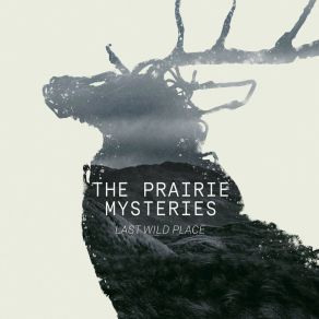 Download track Alone On The Prairies Leopoldo Di Lenge