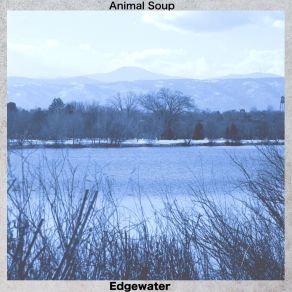 Download track Tower Road Animal Soup