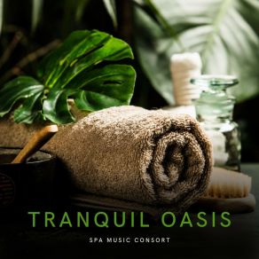 Download track Spa Background Music Ambient Music Collective