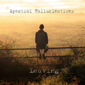 Download track Mechanical Soul Spectral Hallucinations