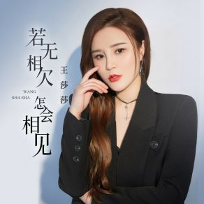 Download track 若无相欠怎会相见 (DJ何鹏版) 王莎莎