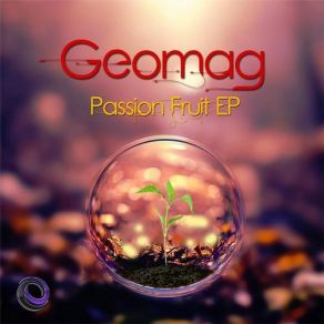 Download track Passion Fruit Geomag