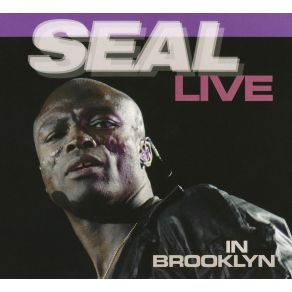 Download track Blues In E Seal