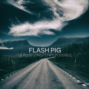 Download track Video Games Flash Pig