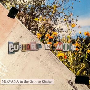 Download track Welle Mirvana In The Groove Kitchen