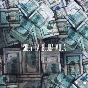 Download track Mula Booba, Siboy