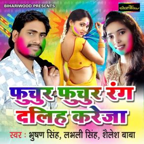 Download track Shadi Baado Daalem Rang Shailesh BabaSailesh Baba