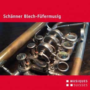 Download track Zürcher Strandbadleben Schänner Blech-Füfermusig