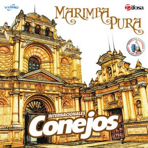 Download track Chapicumbias 2: Ritmos Y Palmeras / Cobanerita / Concepción Tutuapa / La Tempestad Internacionales Conejos