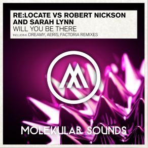 Download track Will You Be There (Aeris Remix) Robert Nickson, Relocate, Sarah Lynn