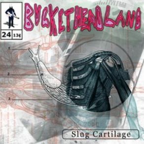 Download track Slug Cartilage Buckethead