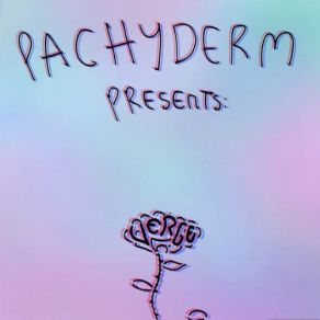 Download track Spend The Night Pachyderm