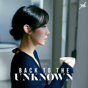 Download track BACK TO THE UNKNOWN (Instrumental) Yulee