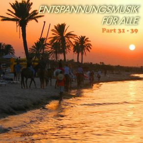 Download track Entspannungsmusik Parts 34 Entspannungsmusik Für Alle