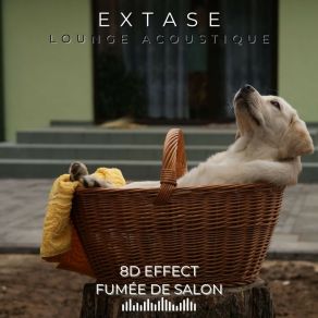 Download track Extase (Original Mix) Fumée De Salon